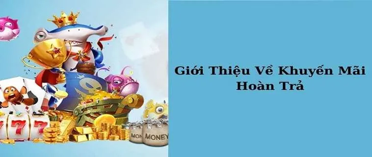 Hoàn Trả Hàng Ngày Tại M8WIN: Cơ Hội Vàng Cho Người Chơi 2 Hoàn Trả Hàng Ngày Tại M8WIN: Cơ Hội Vàng Cho Người Chơi