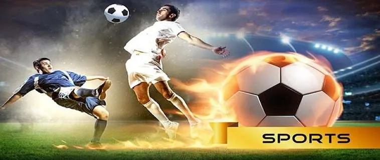 Thể Thao M8WIN: Nền Tảng Cá Cược Đỉnh Cao Cho Người Chơi