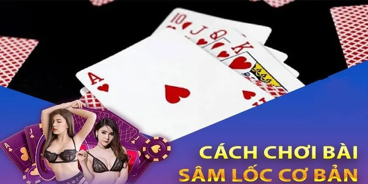 Hướng Dẫn Tham Gia Sâm Lốc Tại Nhà Cái S666 Một Cách Chi Tiết 2 Hướng Dẫn Tham Gia Sâm Lốc Tại Nhà Cái VUABET Một Cách Chi Tiết